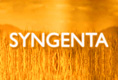 Syngenta Video Interview