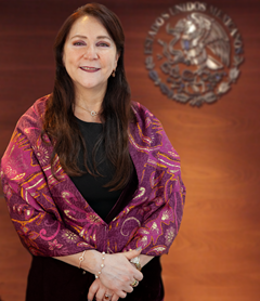 Judge Luz María Anaya Domíngues