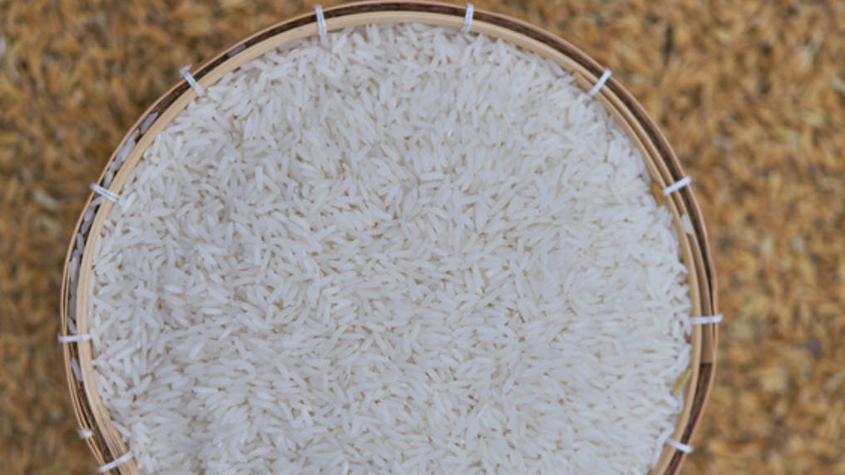 A basket of “Thoungsamrit Hom Mali Rice”