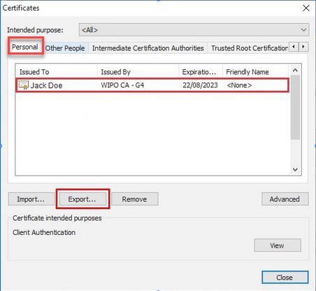 gcbackupexportbutton
