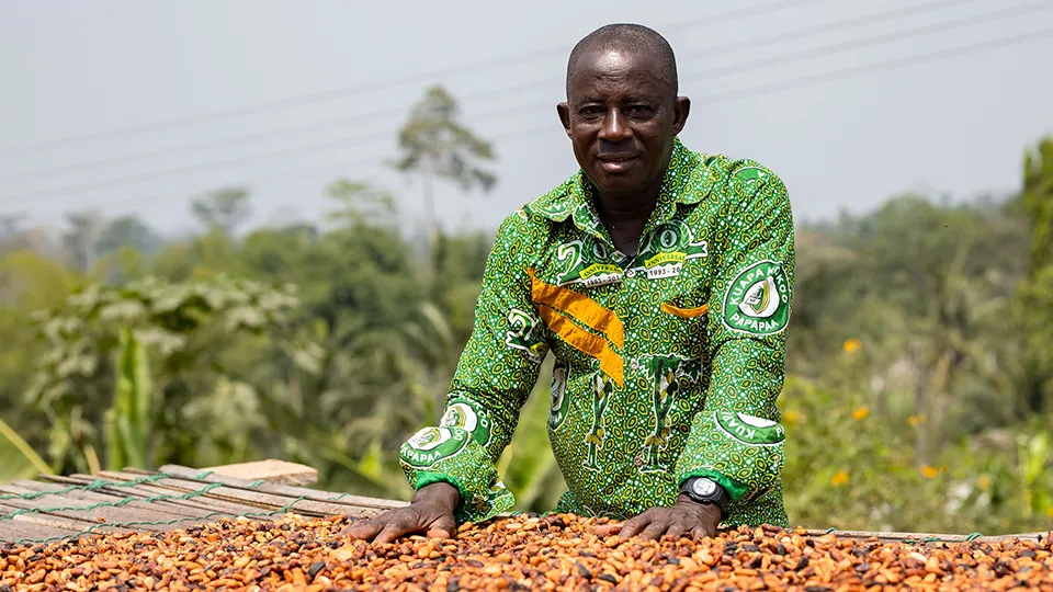 Kingsley Ampah, Kuapa Kokoo