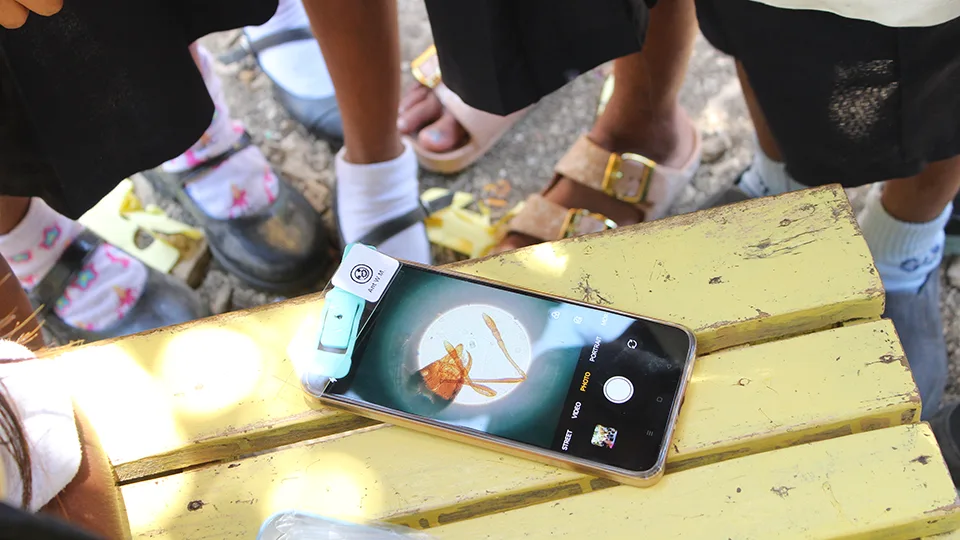 Children looking at an enlarged organism on a smartphone using the clip-on microscope Make-roscope