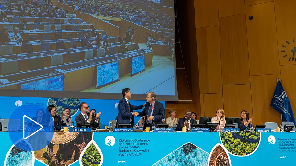 Conferencia diplomática de la OMPI sobre los recursos genéticos y los conocimientos tradicionales conexos