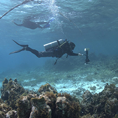 Plongeurs utilisant l’outil de stabilisation d’appareil photo sous-marin DeepCo.