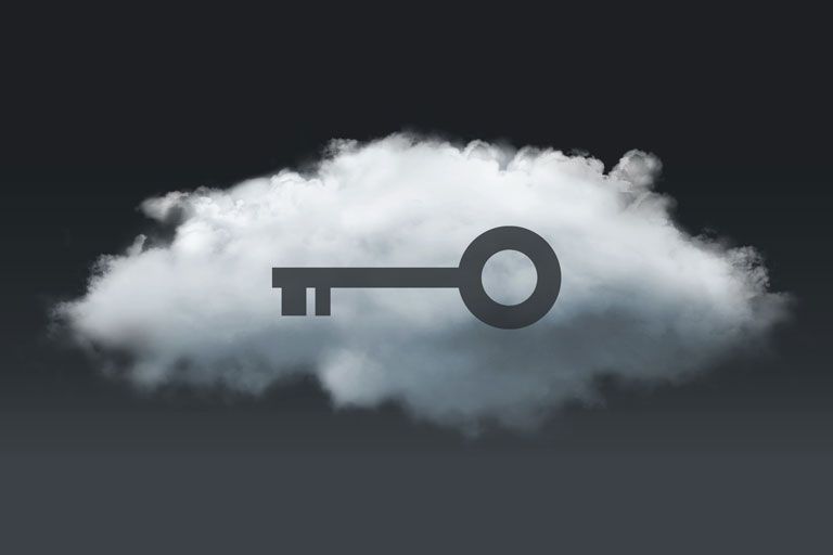 Protecting Intellectual Property in the Cloud