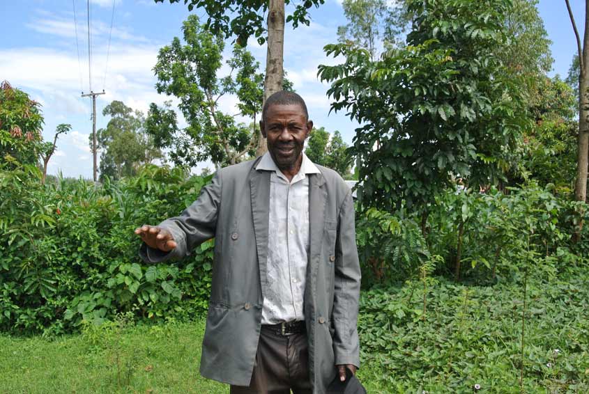 Kenyans turn to drought-tolerant maize variety to fight poverty