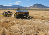 The StrawJet Harvester produces as "waste" a straw cable, which is woven into mats and compressed into robust building panels. (Courtesy of ASET/StrawJet Project)