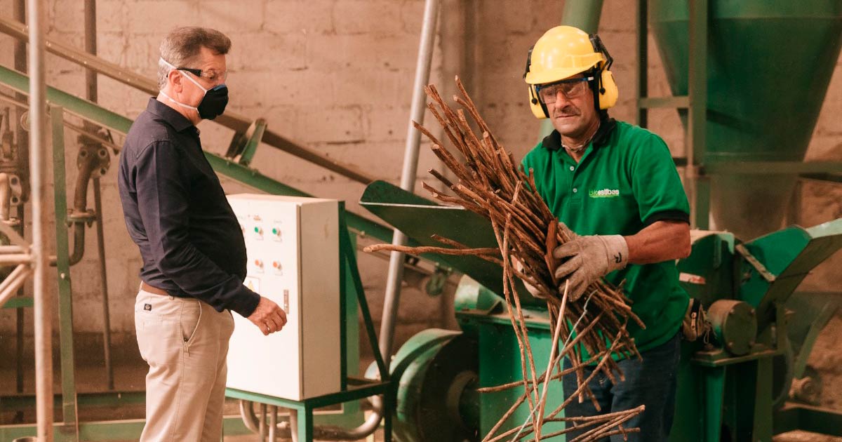 Sustainable Storage: eco-pallets made from flower stems