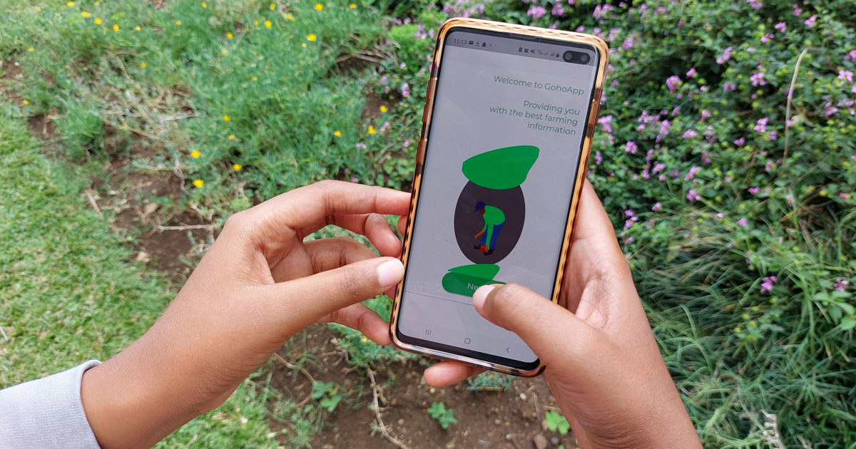 Goho App: helping Zimbabwe’s young farmers tackle climate change