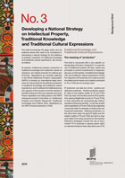 Front cover of Developing a National Strategy on Intellectual Property, Traditional Knowledge and Traditional Cultural Expressions