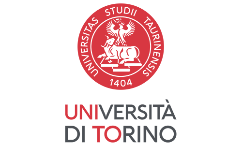 Туринский университет