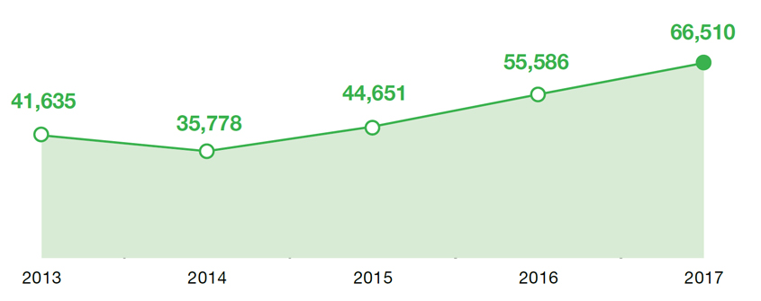 На графике показано число участников курсов в 2013 (41 635), 2014, 2015, 2016 и 2017 (66 510) гг.. 