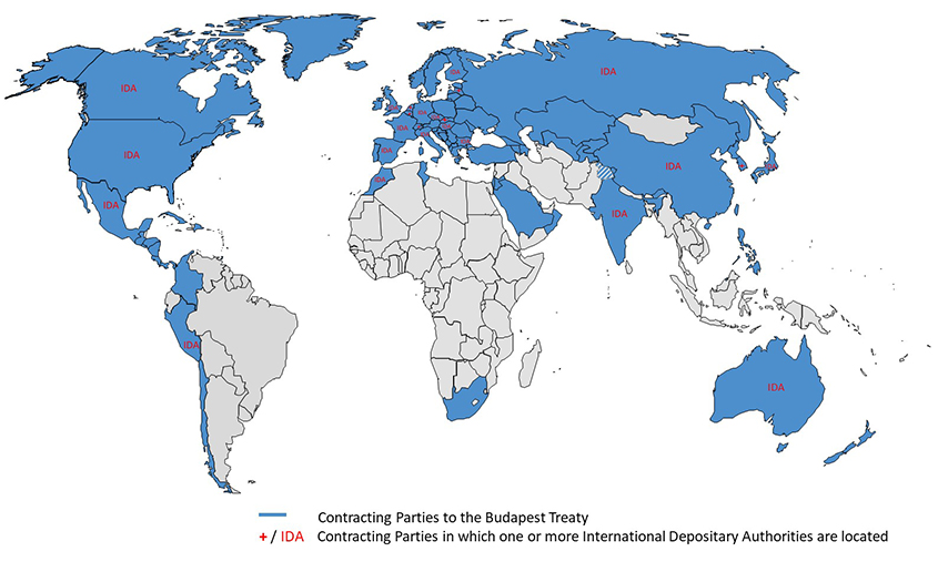 IDA World Map